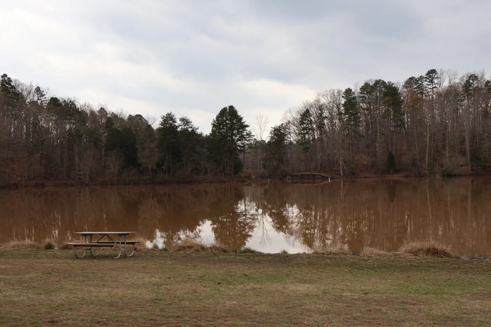 A picnic table on the lawn beside the lake at Lake Norman State Park in Iredell County