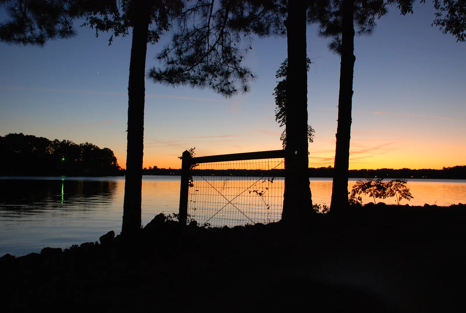 The sun sets behind pine trees on the shore of Lake Norman
